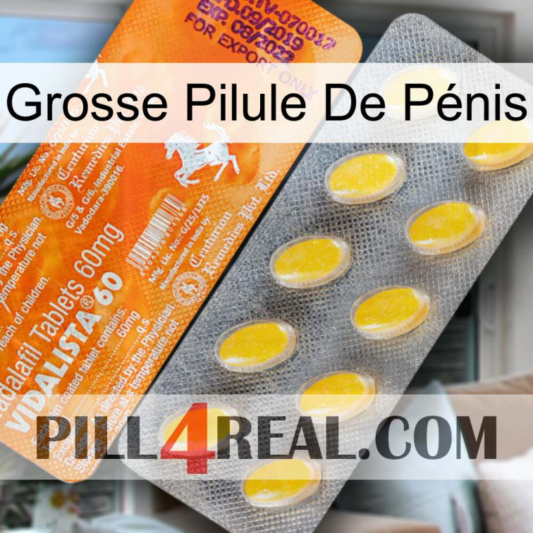Grosse Pilule De Pénis new05